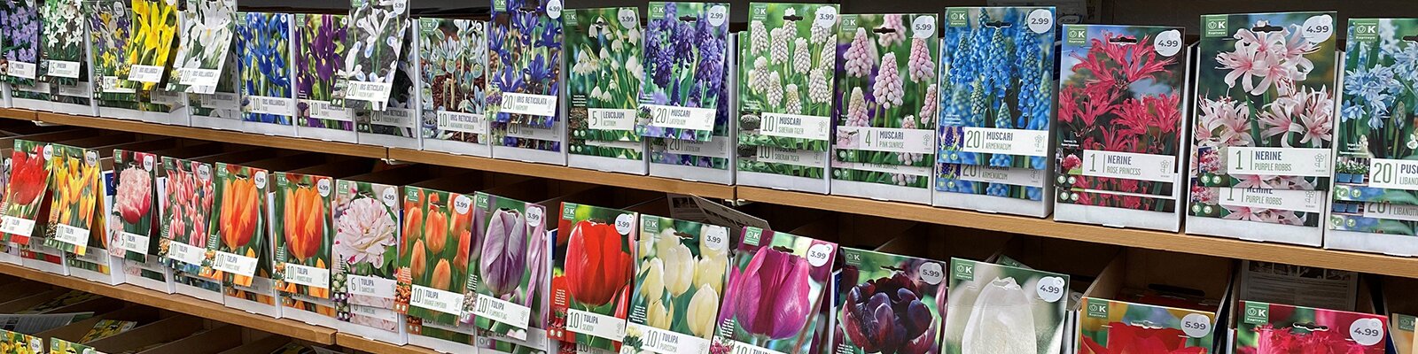 Spring Flowering Bulbs Now in Stock