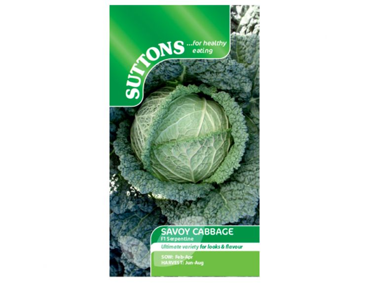 Cabbage Seeds Savoy F1 Serpentine - image 1