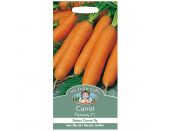 Carrot Seeds Flyaway F1 - image 1