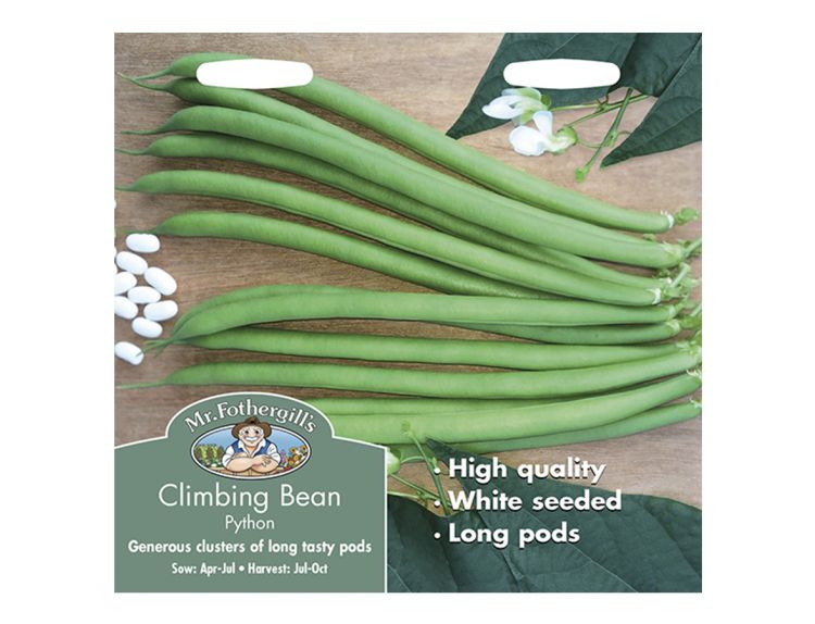 Climbing French Bean Seeds Python - image 1