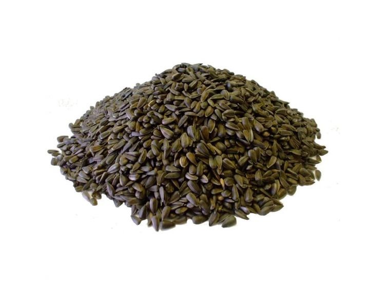 Copdock Black Sunflower Seeds 12.75kg