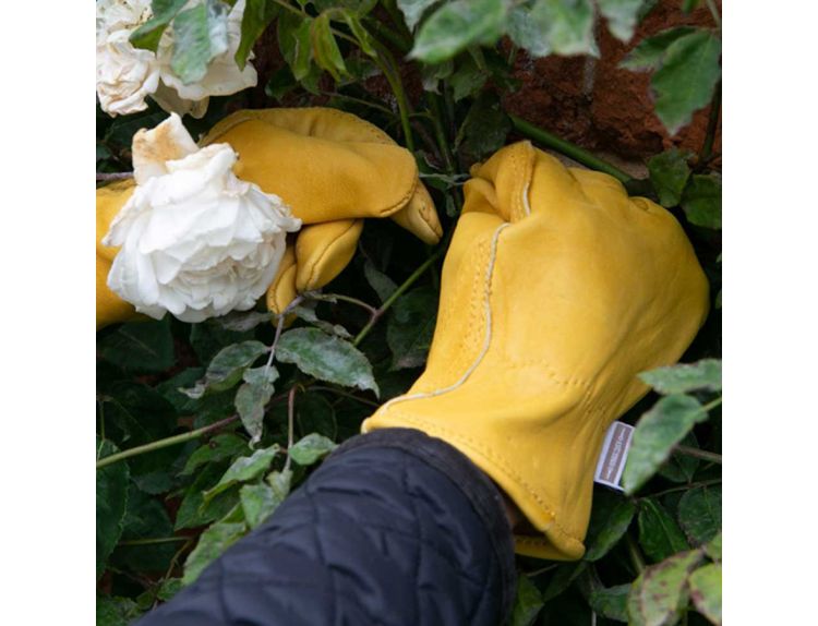 Gloves Deluxe Premium Leather Medium - image 1