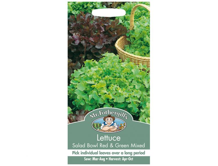 Lettuce Seeds Salad Bowl Red & Green Mixed - image 1