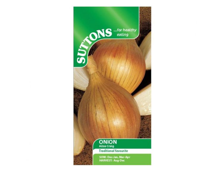 Onion Seeds Ailsa Craig - image 1