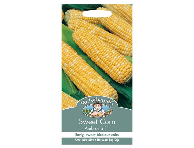 Sweet Corn Seeds Ambrosia F1 - image 1