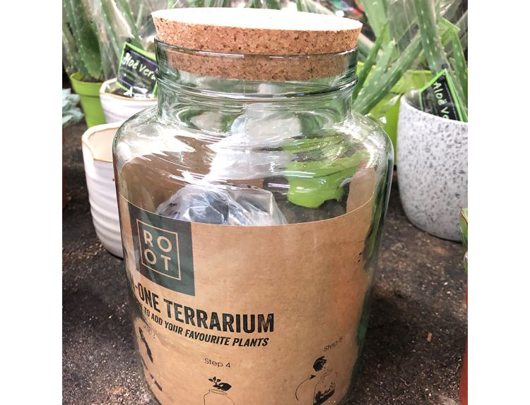 Terrarium all in one glass bottle