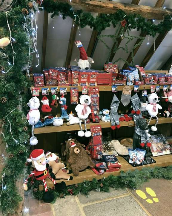 Buy Christmas tree Croydon Knights Garden Centre decorations xmas