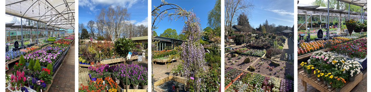Nags Hall Garden Centre