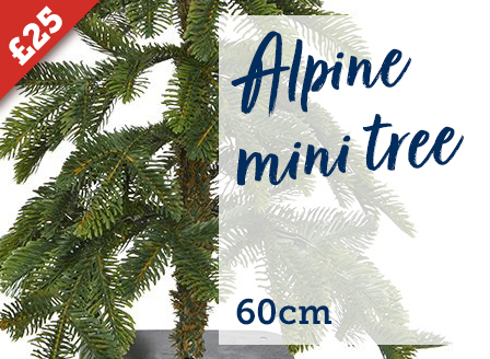 Alpine mini tree