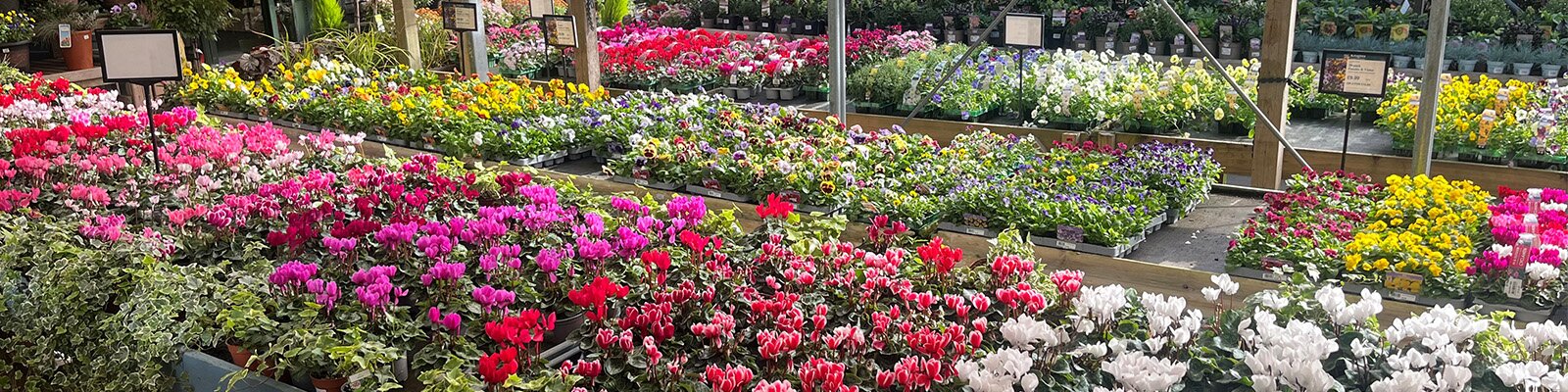 Autumn/Winter Bedding Now in Stock