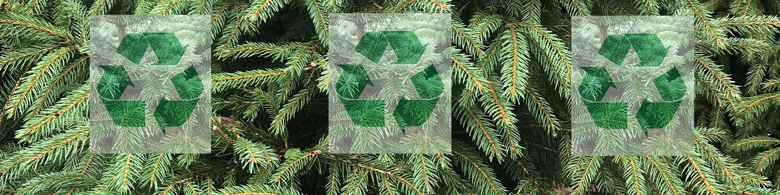 Recycle your tree with us