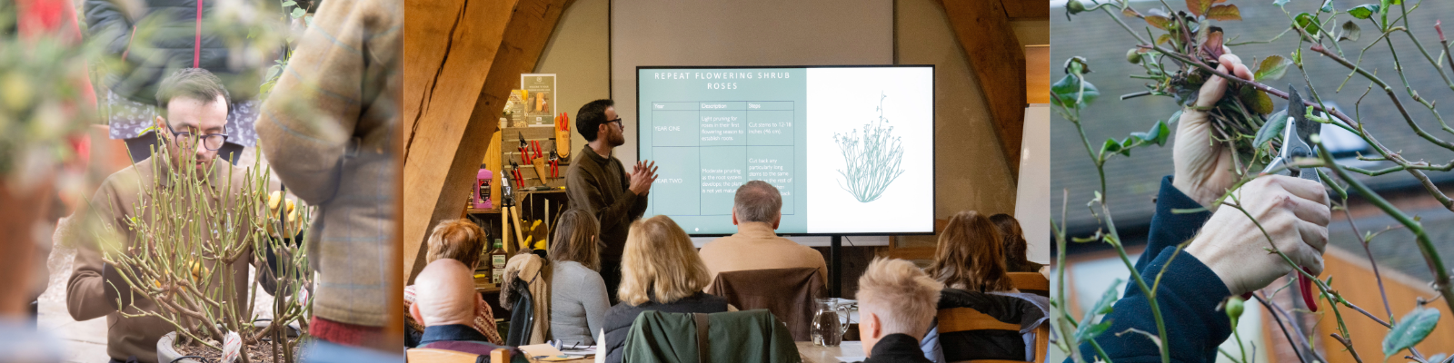 Book Tickets for David Austin Workshop
