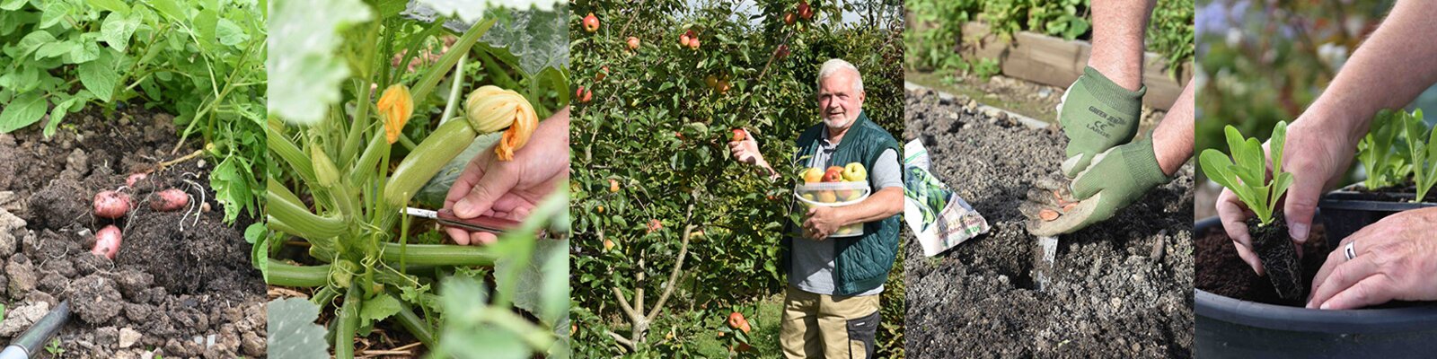 Book Tickets for Geoff's teatime talk