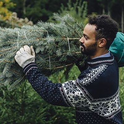 Guide to choosing the right Christmas Tree