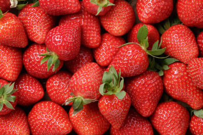 Plant of the Week: Strawberries