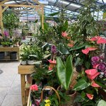 Garden centre