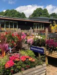 Garden centre