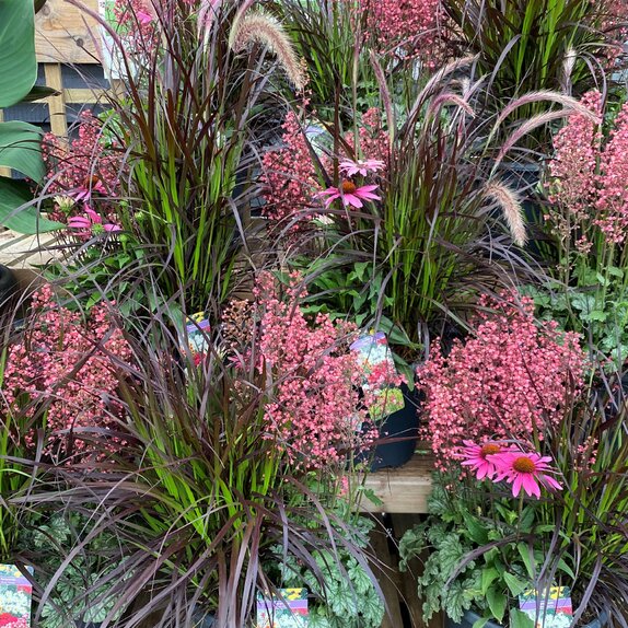 10 litre Mixed Tub Paris