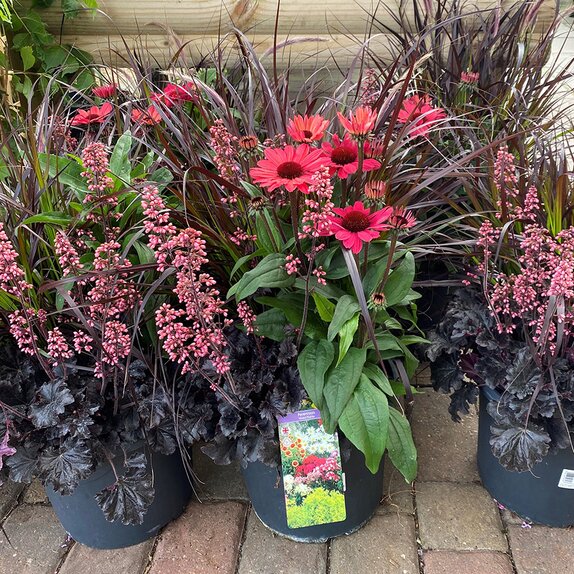 10 litre Mixed Tub Timeless
