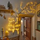 144 LED LightVine - Warm White - image 1