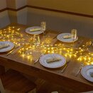 144 LED LightVine - Warm White - image 2