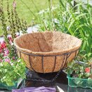 16" Basket Coco Liner - image 2