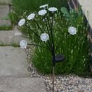 8-Stem FloraLights - Warm White - image 2