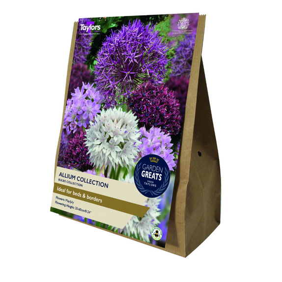 Allium Collection