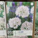 Allium Graceful Beauty - image 1