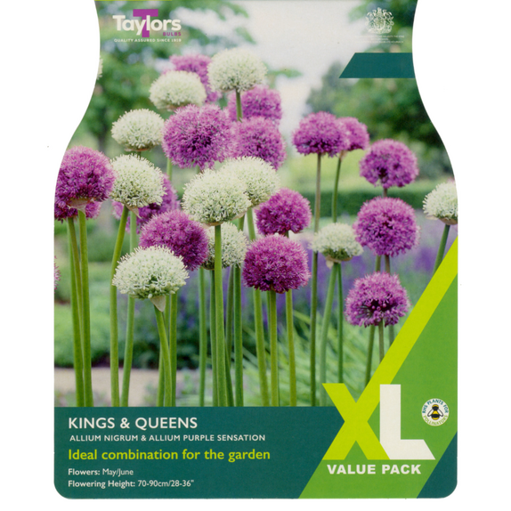 Allium - Kings & Queens