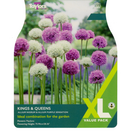 Allium - Kings & Queens