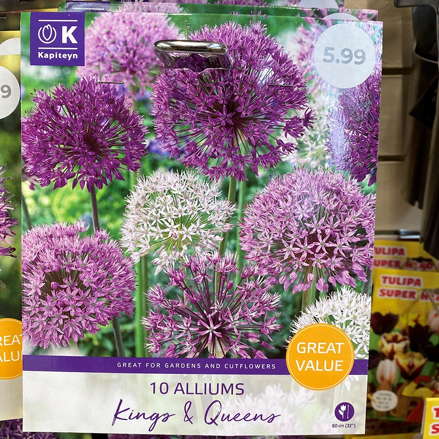 Allium Kings & Queens Great Value Pack Knights Garden Centres