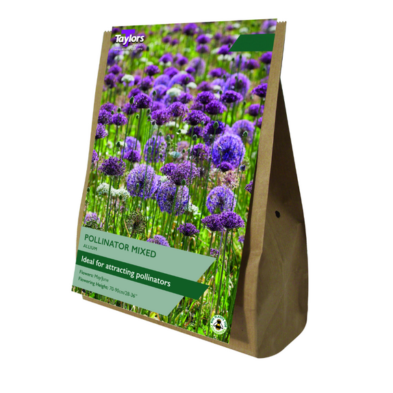 Allium - Mixed Pollinator