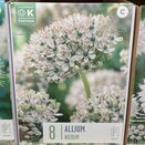 Allium Nigrum
