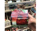 Amaryllis Benfica loose bulb