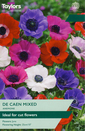 Anemone - De Caen Mixed 