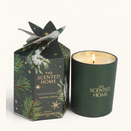 Ashleigh and Burwood - Festive Fir & Cedarwood Candle 170g