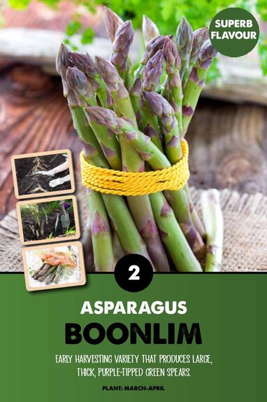 Asparagus Boonlim 
