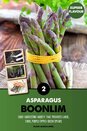 Asparagus Boonlim 