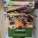 Asparagus Gijnlim