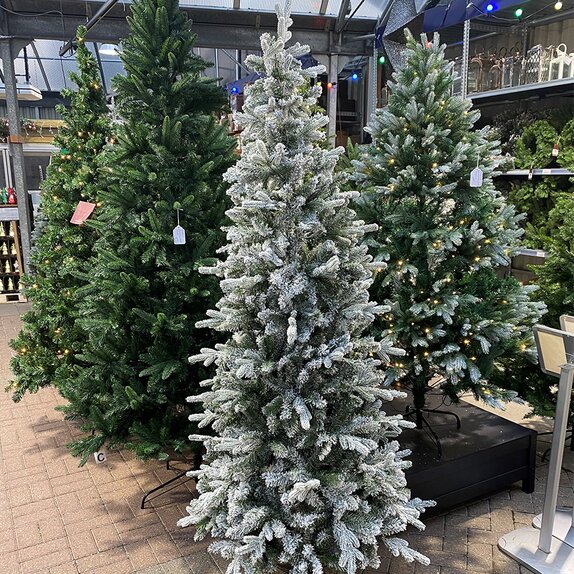 Aspen Frosted Fir 2.1m