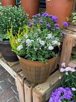 Autumn Containers & Baskets