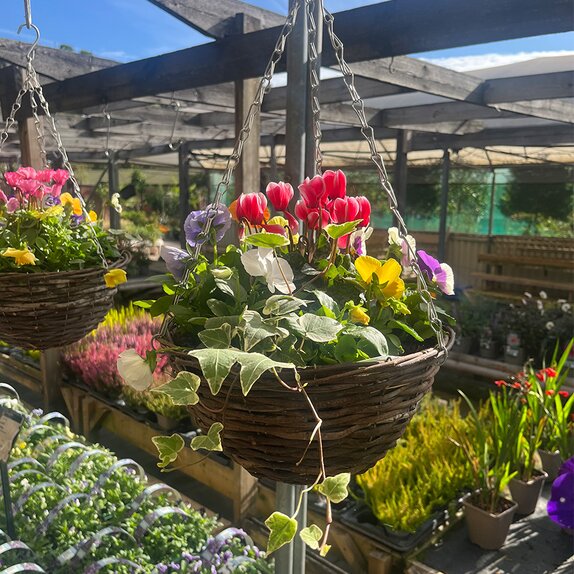 Autumn Hanging Basket 