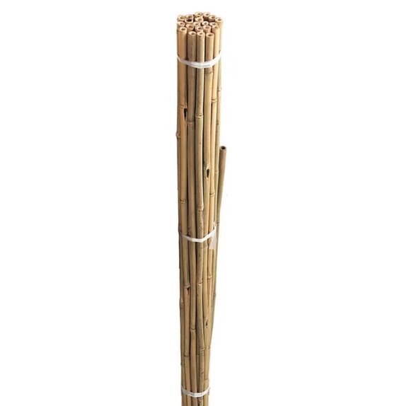 Bamboo Canes 180cm 10pk