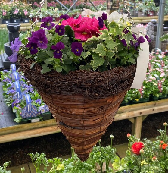 Basket Spring Mix - image 2