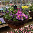 Basket Spring Mix - image 3