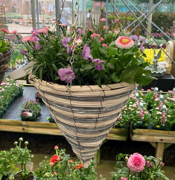 Basket Spring Mix - image 1