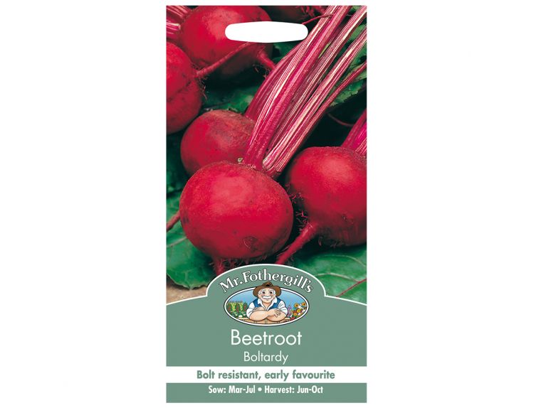 Beetroot Seeds Boltardy - image 1
