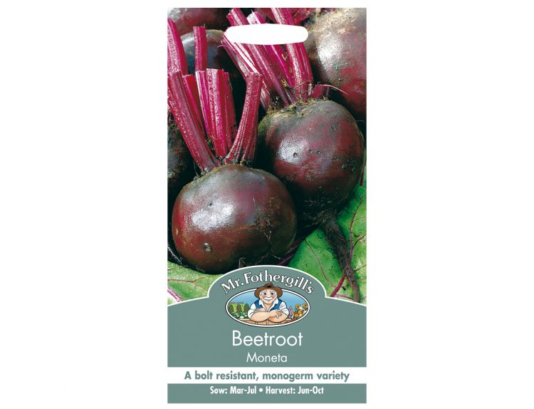 Beetroot Seeds Moneta