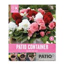Begonia Non Stop Patio Container Sorbet Shades